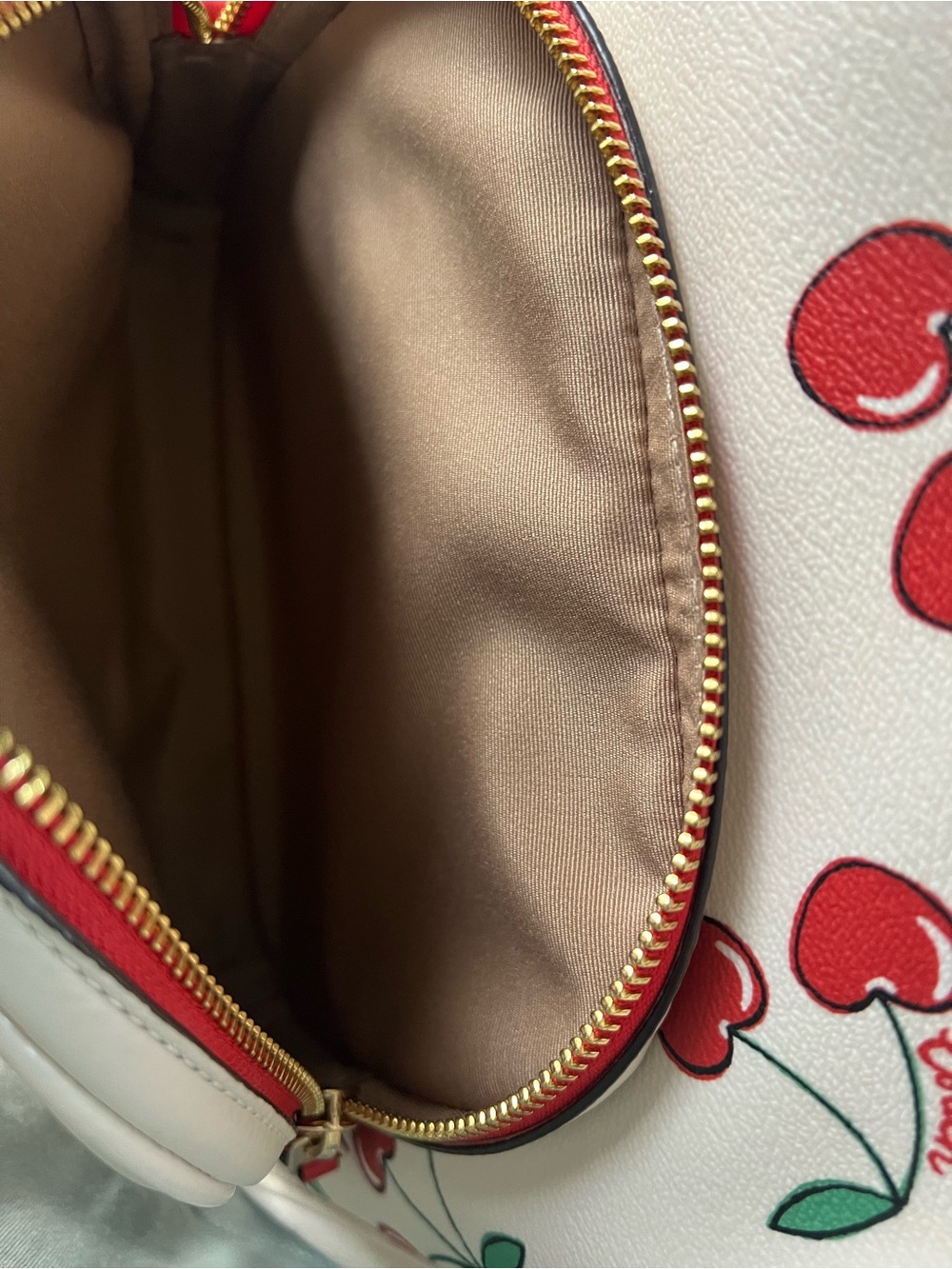 Coach Court Backpack With Heart Cherry Print - Picture 8 of 12